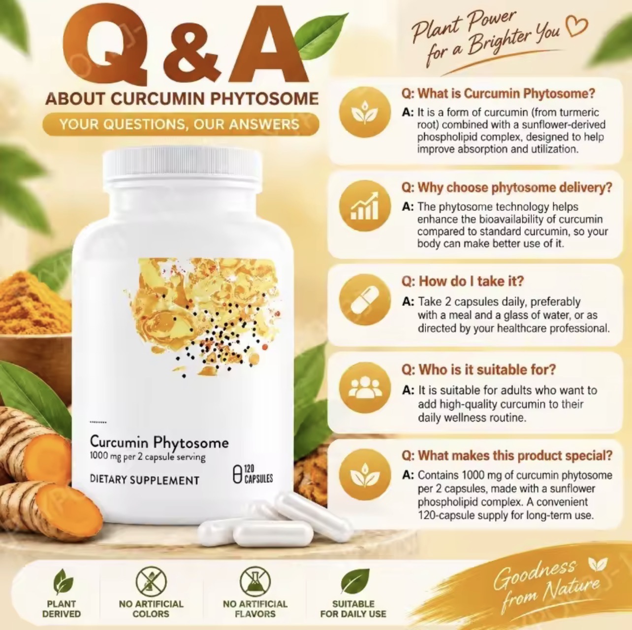 כורכום - כורכומין פיטוזום Curcumin Phytosome® – הכורכומין המתקדם לספיגה יעילה יותר – תמונה 2